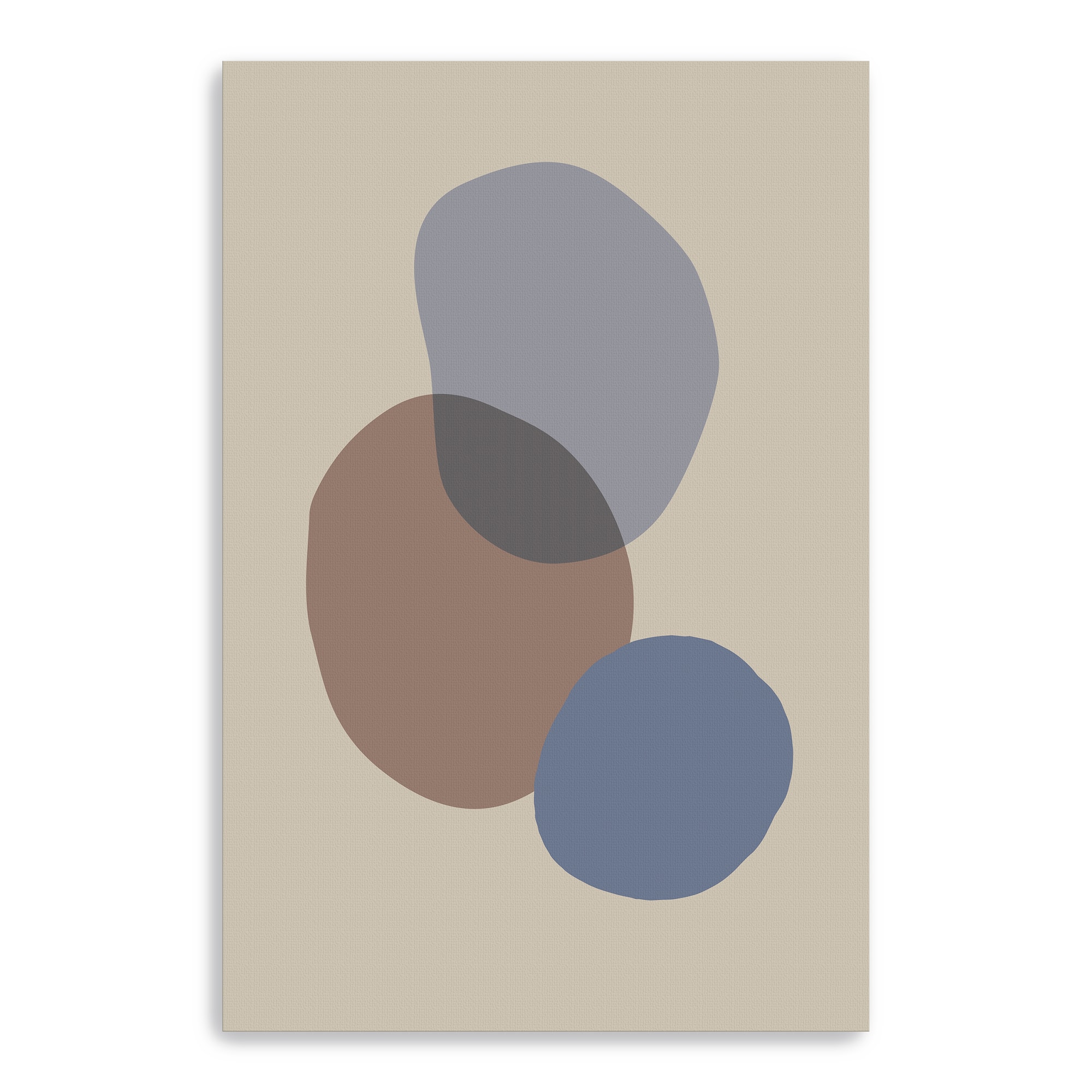 Studio – Organic Shapes 05 Canvas Giclee
